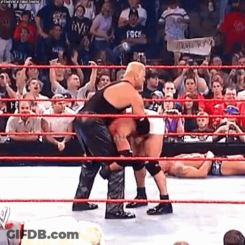 Wrestling Match In Ring With Crowd GIF