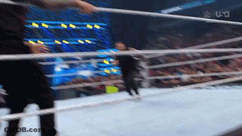 Wrestling Match In Ring With Crowd GIF