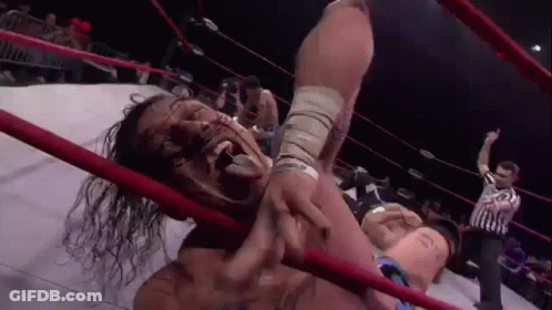 Wrestling Match In Ring With Referee GIF