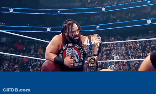 Wrestling Match In Stadium GIF
