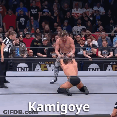 Wrestling Match Kamigoye GIF