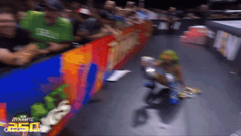 Wrestling Match Number 250 GIF