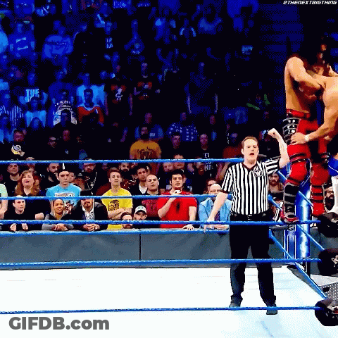 Wrestling Match On Houston TV GIF