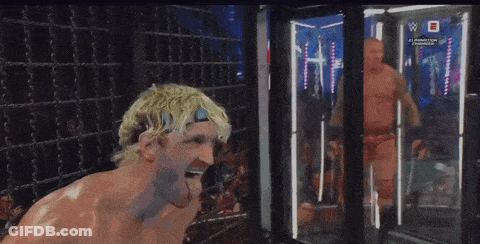 Wrestling Match On TV Screen GIF