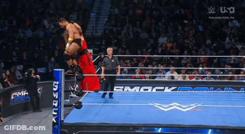 Wrestling Match On TV Screen GIF