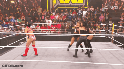 Wrestling Match On USA GIF