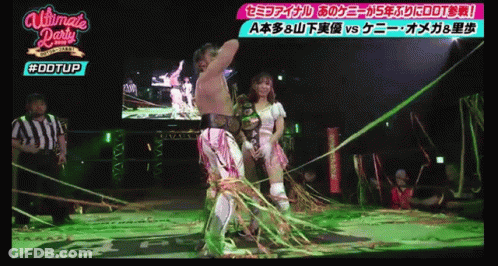 Wrestling Match Sponsored By Ultimate Party GIF