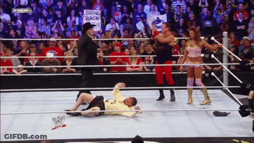 Wrestling Match With Bring Back Sign GIF