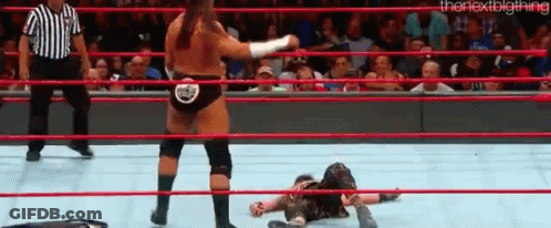 Wrestling Match With Referee Behind Ring GIF