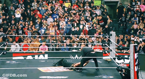 Wrestling Ring With Baja Sign GIF