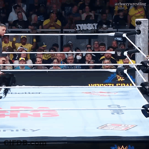 Wrestling Ring With Choccy Wrestling Sign GIF