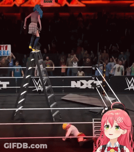 Wrestling Ring With My Hero Sign GIF