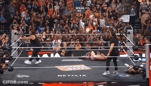 Wrestling Ring With Netflix Logo GIF