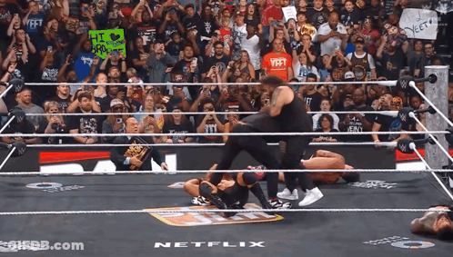 Wrestling Ring With Netflix Sign GIF
