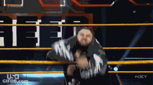 Wrestling Ring With NXT Logo GIF