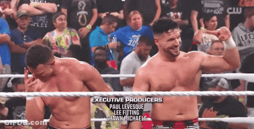 Wrestling Ring With Paul Levesque And Shawn Michaels GIF