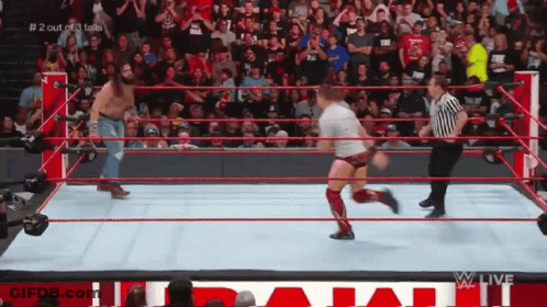 Wrestling Ring With Referee And Crowd GIF