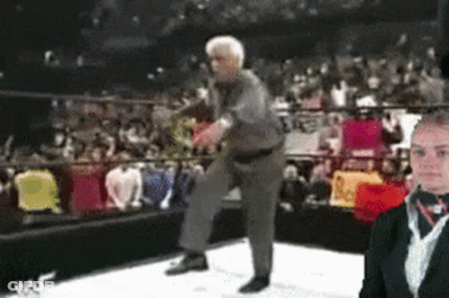 Wrestling Ring With Referee GIF