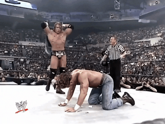 Wrestling Shawn Michaels Violent Fighting GIF