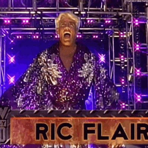 Wrestling Star Ric Flair GIF