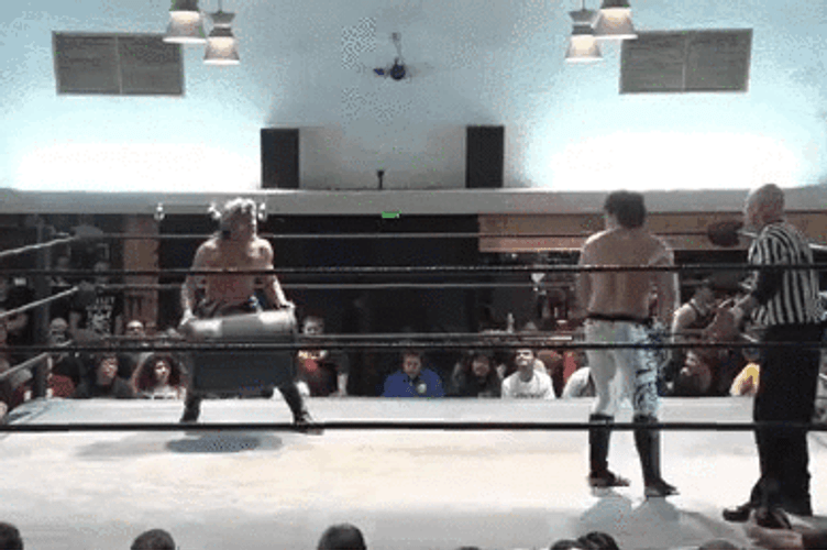 Wrestling Stunt Hits Referee GIF