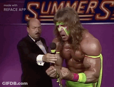 Wrestling Wwe GIF