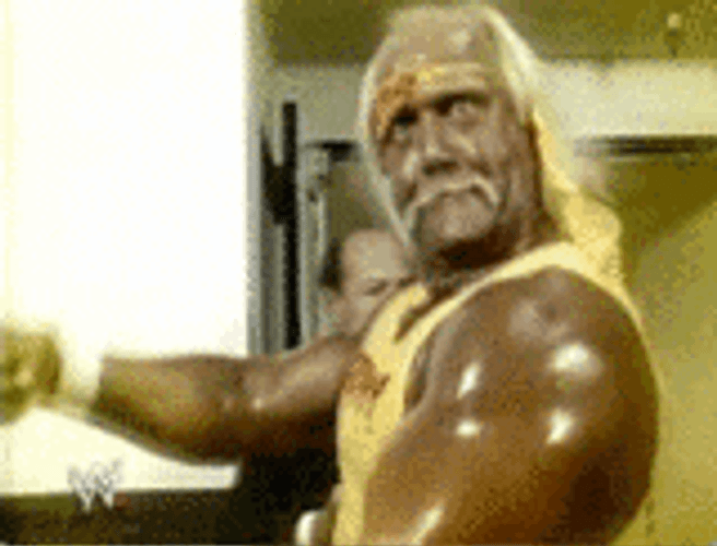 Wrestling Wwe Supestar Hulk Hogan GIF