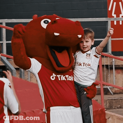 Wrexham Association Football Mascot GIF