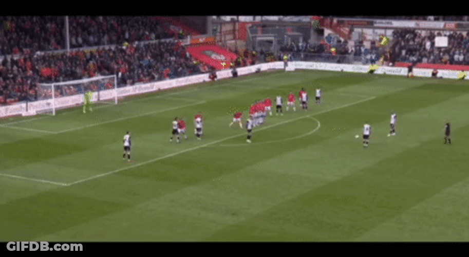 Wrexham Watching The Game GIF
