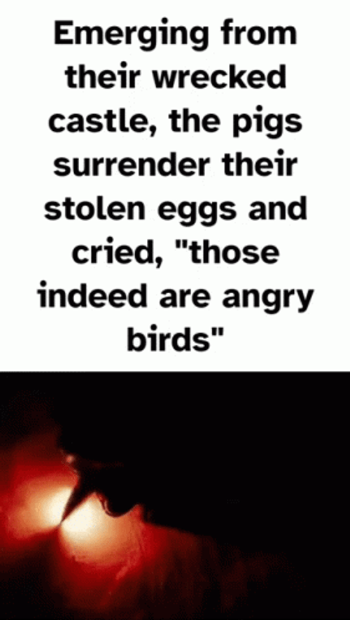 Writing Fire Angry Birds Internet Meme GIF