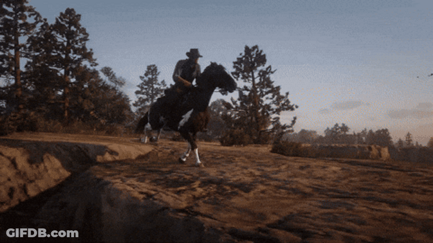 Wrong Way Rdr2 GIF