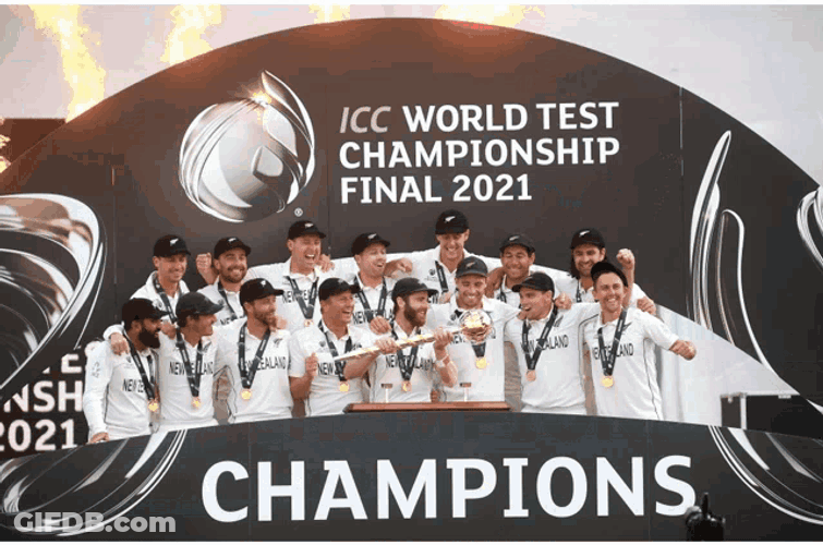 Wtcfinal Blackcaps GIF
