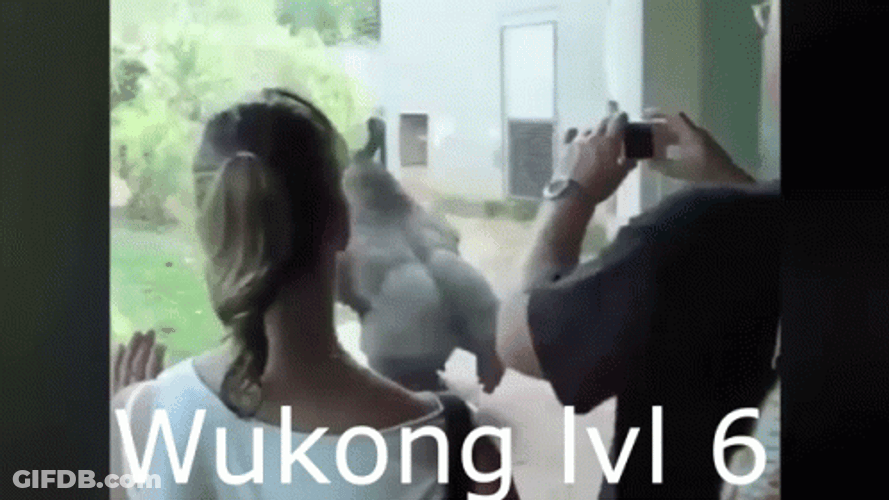 Wukong Level Six GIF