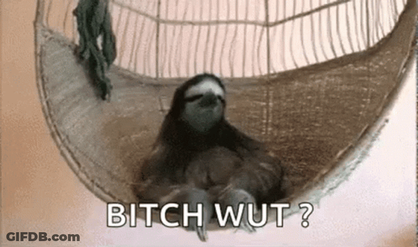 Wut Sloth Seating On Swing GIF