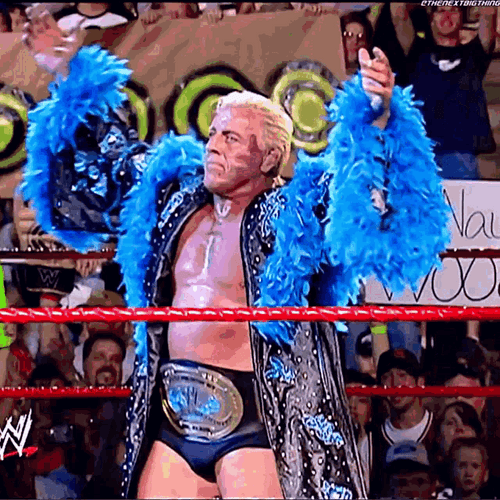 WWE Champion Ric Flair GIF