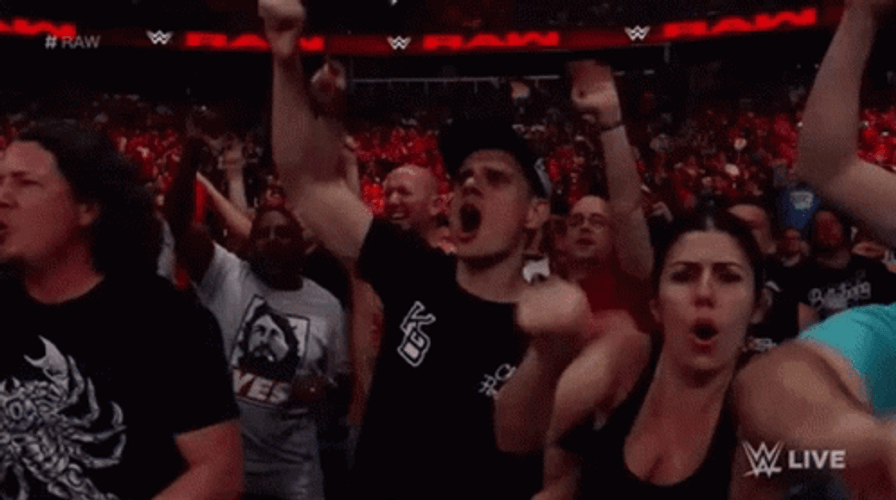 WWE Crowd Chanting Boo GIF