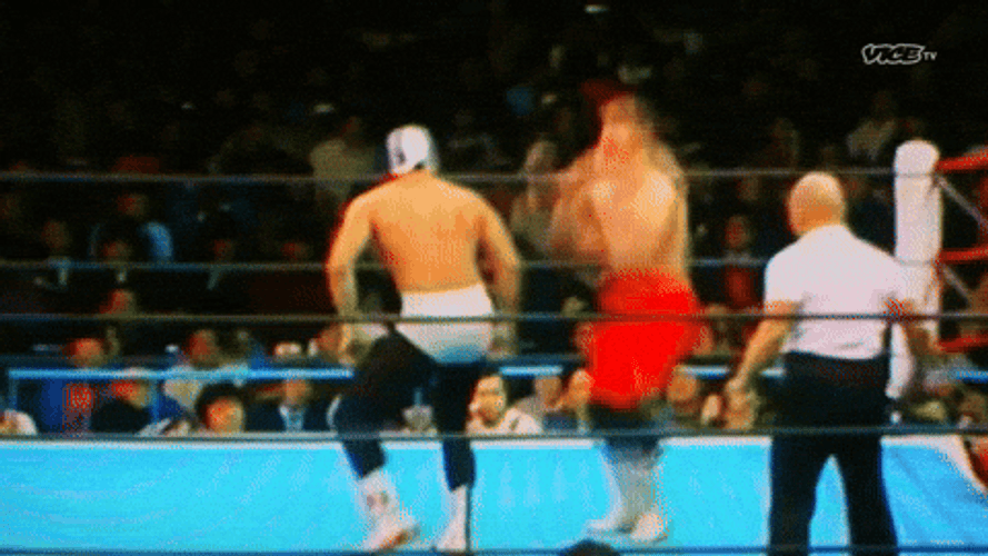 WWE Hulk Hogan Drop Kick GIF