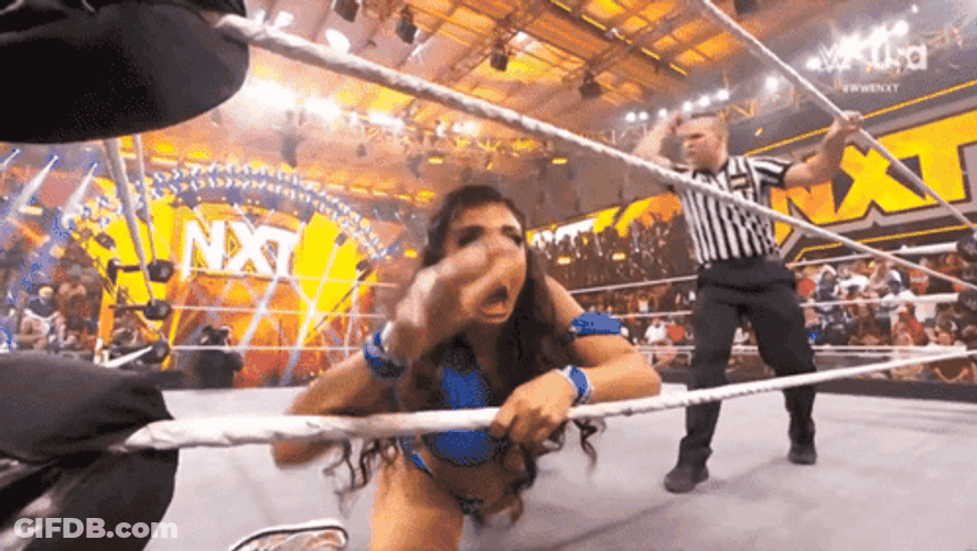 WWE Lola Vice Dragged Away GIF