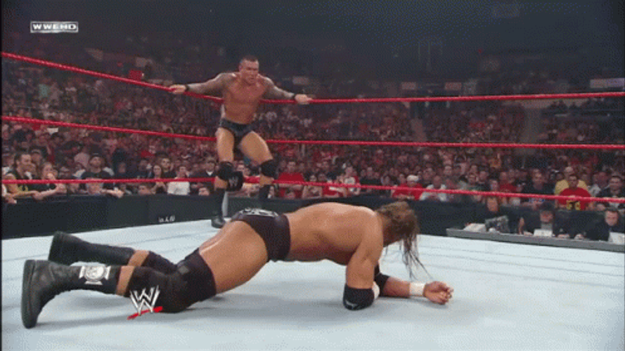 WWE Randy Orton Kiks Punt GIF