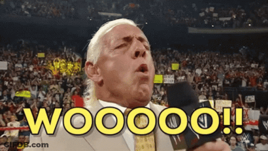 WWE Ric Flair Powerful Woooo GIF