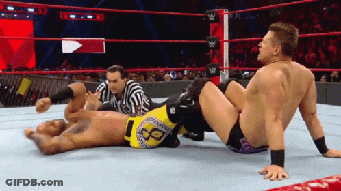 WWE The Miz The Miz Figure4 GIF
