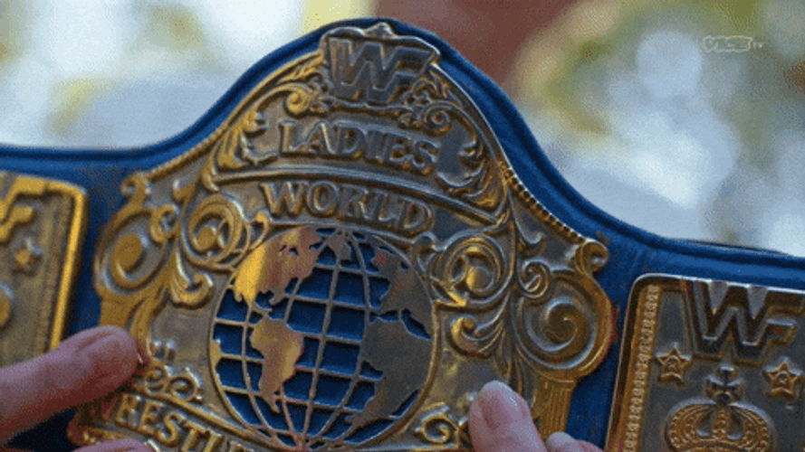 WWE World Heavyweight Champion Belt Close Up GIF