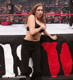 Wwe World Wrestling Entertainment GIF