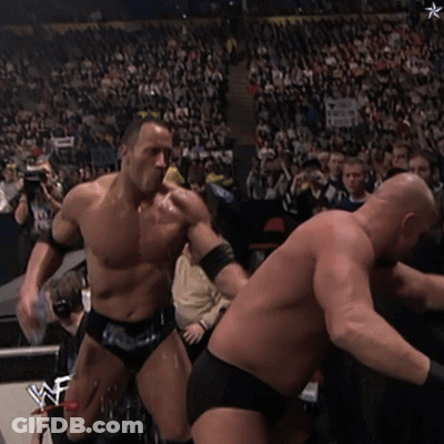 WWE Wrestlers Fighting In Front Of Crowd GIF