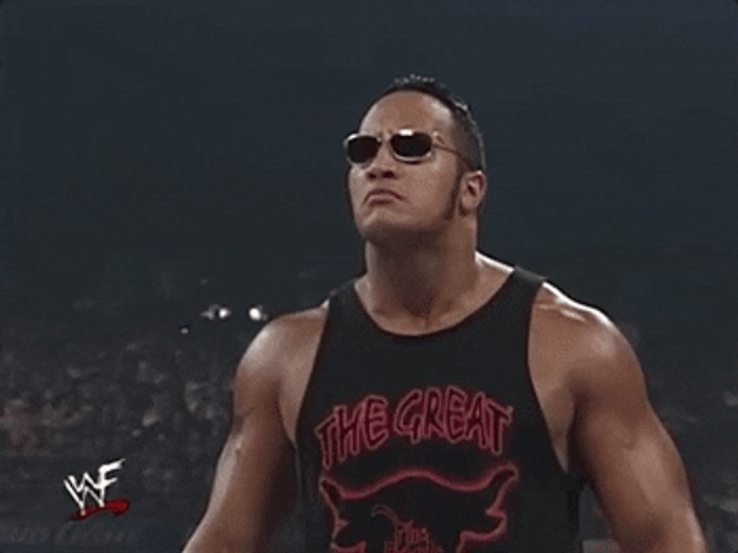 WWE Young The Rock GIF