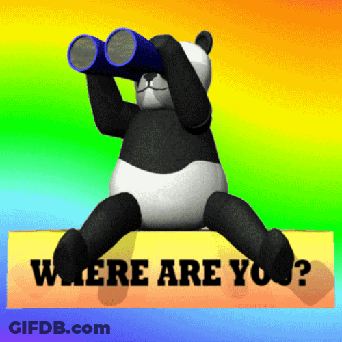 Wya Panda Using Binoculars GIF