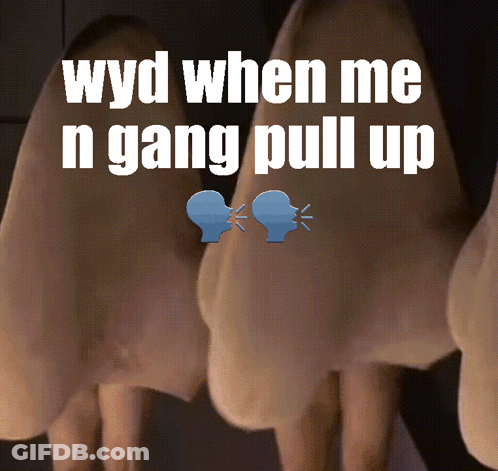 Wyd When Me N Gang Pull Up On Nose GIF