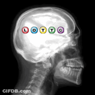X-Ray Of Head With Lotto Written In Center GIF
