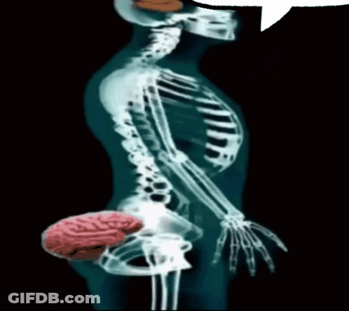 X-Ray Skeleton With Speech Bubble GIF