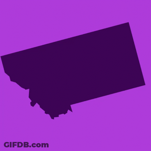 Xander For Us Senate GIF
